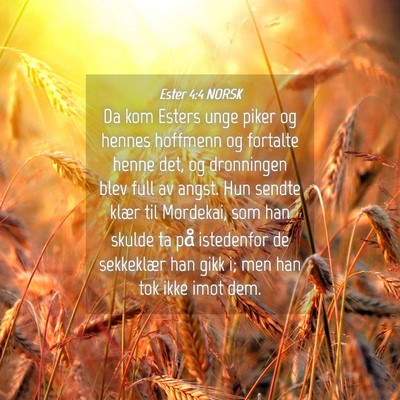 Picture 04 - Ester 4:4 NORSK - Da kom Esters unge piker og hennes hoffmenn og - Bible Verse Picture