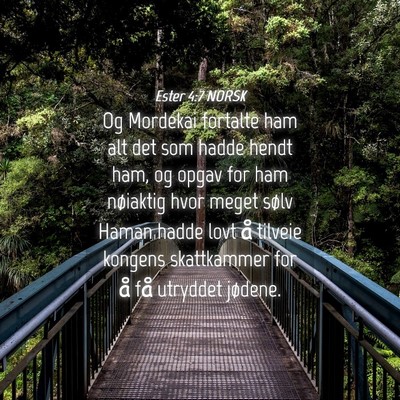 Picture 04 - Ester 4:7 NORSK - Og Mordekai fortalte ham alt det som hadde hendt - Bible Verse Picture