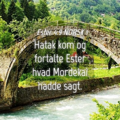 Picture 04 - Ester 4:9 NORSK - Hatak kom og fortalte Ester hvad Mordekai hadde - Bible Verse Picture