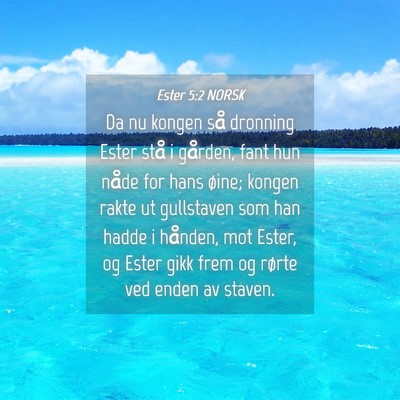 Picture 04 - Ester 5:2 NORSK - Da nu kongen så dronning Ester stå i gården, - Bible Verse Picture