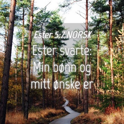 Picture 04 - Ester 5:7 NORSK - Ester svarte: Min bønn og mitt ønske - Bible Verse Picture