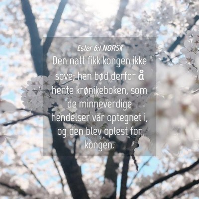 Picture 04 - Ester 6:1 NORSK - Den natt fikk kongen ikke sove; han bød derfor - Bible Verse Picture