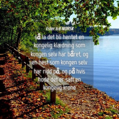 Picture 04 - Ester 6:8 NORSK - så la det bli hentet en kongelig klædning som - Bible Verse Picture
