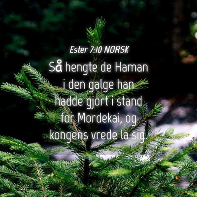 Picture 04 - Ester 7:10 NORSK - Så hengte de Haman i den galge han hadde gjort i - Bible Verse Picture