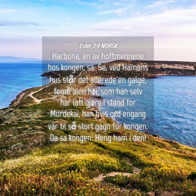 Picture 04 - Ester 7:9 NORSK - Harbona, en av hoffmennene hos kongen, sa: Se, - Bible Verse Picture