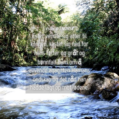 Picture 04 - Ester 8:3 NORSK - Ester vendte sig atter til kongen, kastet sig ned - Bible Verse Picture