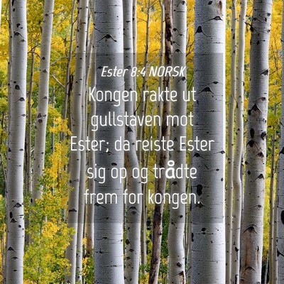 Picture 04 - Ester 8:4 NORSK - Kongen rakte ut gullstaven mot Ester; da reiste - Bible Verse Picture