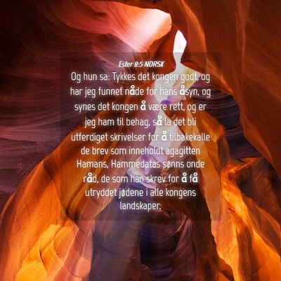 Picture 04 - Ester 8:5 NORSK - Og hun sa: Tykkes det kongen godt, og har jeg - Bible Verse Picture