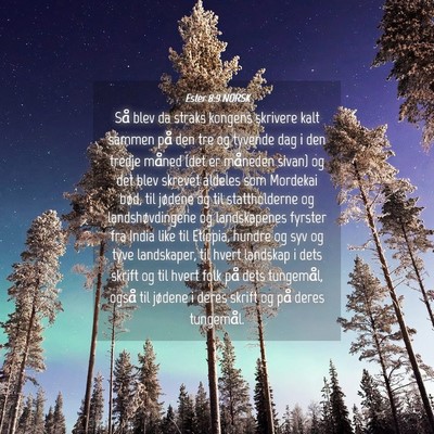 Picture 04 - Ester 8:9 NORSK - Så blev da straks kongens skrivere kalt sammen - Bible Verse Picture