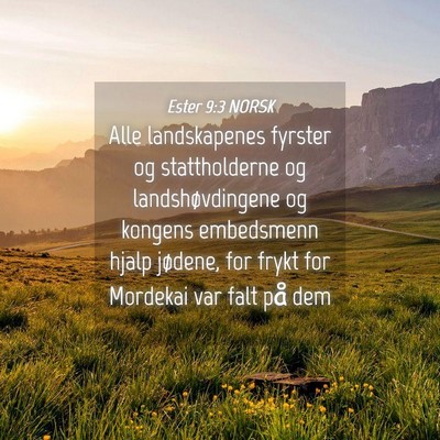 Picture 04 - Ester 9:3 NORSK - Alle landskapenes fyrster og stattholderne og - Bible Verse Picture