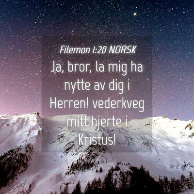 Picture 04 - Filemon 1:20 NORSK - Ja, bror, la mig ha nytte av dig i Herren! - Bible Verse Picture