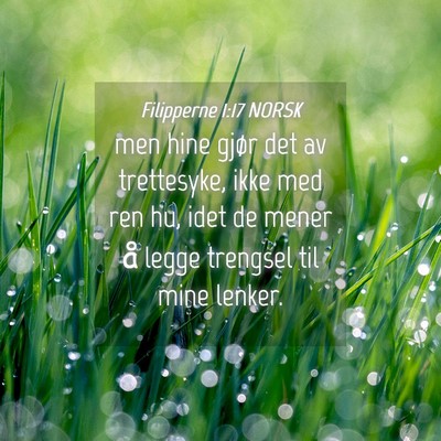 Picture 04 - Filipperne 1:17 NORSK - men hine gjør det av trettesyke, ikke med ren - Bible Verse Picture