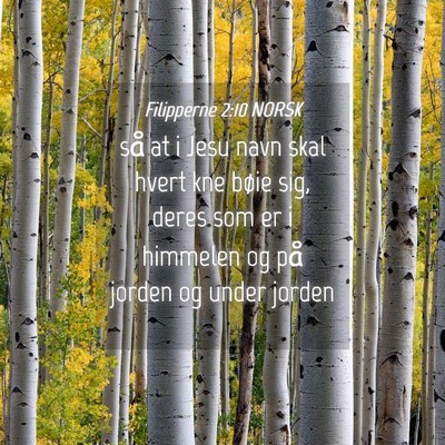 Picture 04 - Filipperne 2:10 NORSK - så at i Jesu navn skal hvert kne bøie sig, - Bible Verse Picture