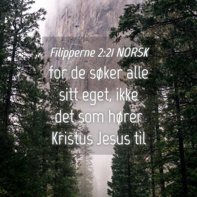 Picture 04 - Filipperne 2:21 NORSK - for de søker alle sitt eget, ikke det som hører - Bible Verse Picture