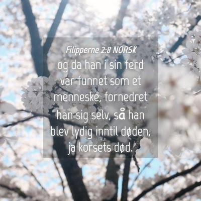 Picture 04 - Filipperne 2:8 NORSK - og da han i sin ferd var funnet som et menneske, - Bible Verse Picture