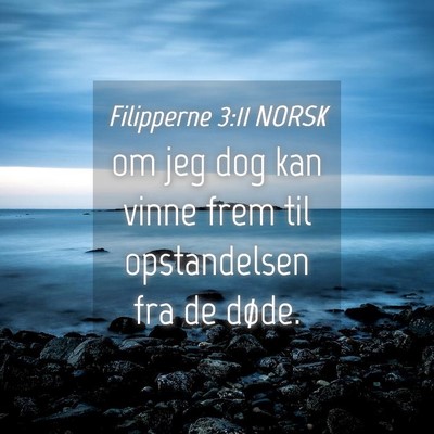 Picture 04 - Filipperne 3:11 NORSK - om jeg dog kan vinne frem til opstandelsen fra de - Bible Verse Picture