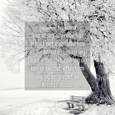Picture 04 - Filipperne 3:12 NORSK - Ikke at jeg allerede har grepet det eller - Bible Verse Picture