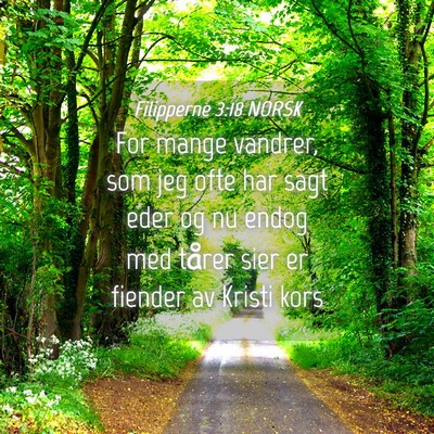 Picture 04 - Filipperne 3:18 NORSK - For mange vandrer, som jeg ofte har sagt eder og - Bible Verse Picture
