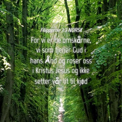 Picture 04 - Filipperne 3:3 NORSK - For vi er de omskårne, vi som tjener Gud i hans - Bible Verse Picture