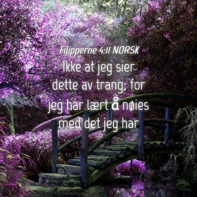 Picture 04 - Filipperne 4:11 NORSK - Ikke at jeg sier dette av trang; for jeg har - Bible Verse Picture