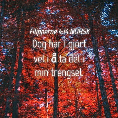 Picture 04 - Filipperne 4:14 NORSK - Dog har I gjort vel i å ta del i min - Bible Verse Picture