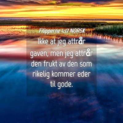 Picture 04 - Filipperne 4:17 NORSK - Ikke at jeg attrår gaven, men jeg attrår den - Bible Verse Picture