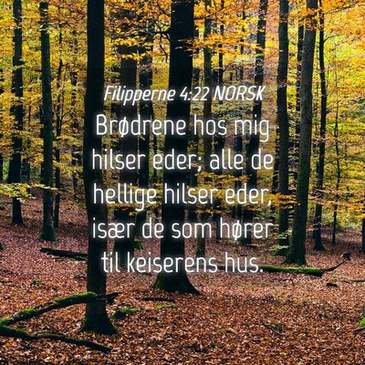 Picture 04 - Filipperne 4:22 NORSK - Brødrene hos mig hilser eder; alle de hellige - Bible Verse Picture