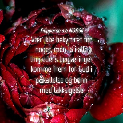 Picture 04 - Filipperne 4:6 NORSK - Vær ikke bekymret for noget, men la i alle ting - Bible Verse Picture
