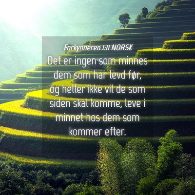 Picture 04 - Forkynneren 1:11 NORSK - Det er ingen som minnes dem som har levd før, og - Bible Verse Picture