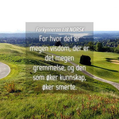Picture 04 - Forkynneren 1:18 NORSK - For hvor det er megen visdom, der er det megen - Bible Verse Picture