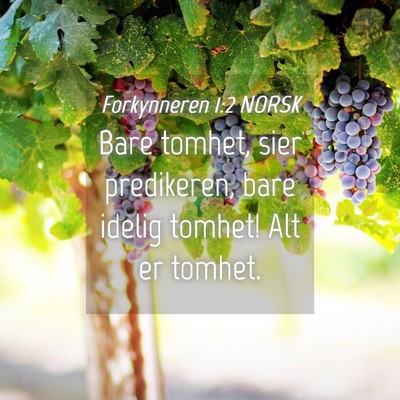 Picture 04 - Forkynneren 1:2 NORSK - Bare tomhet, sier predikeren, bare idelig tomhet! - Bible Verse Picture