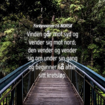 Picture 04 - Forkynneren 1:6 NORSK - Vinden går mot syd og vender sig mot nord; den - Bible Verse Picture