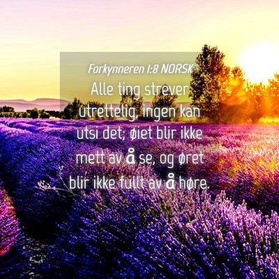 Picture 04 - Forkynneren 1:8 NORSK - Alle ting strever utrettelig, ingen kan utsi det; - Bible Verse Picture