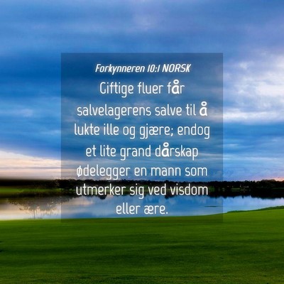 Picture 04 - Forkynneren 10:1 NORSK - Giftige fluer får salvelagerens salve til å - Bible Verse Picture