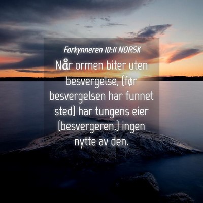 Picture 04 - Forkynneren 10:11 NORSK - Når ormen biter uten besvergelse, {før - Bible Verse Picture