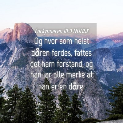 Picture 04 - Forkynneren 10:3 NORSK - Og hvor som helst dåren ferdes, fattes det ham - Bible Verse Picture