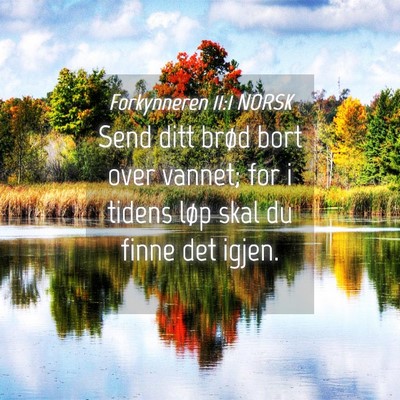 Picture 04 - Forkynneren 11:1 NORSK - Send ditt brød bort over vannet; for i tidens - Bible Verse Picture