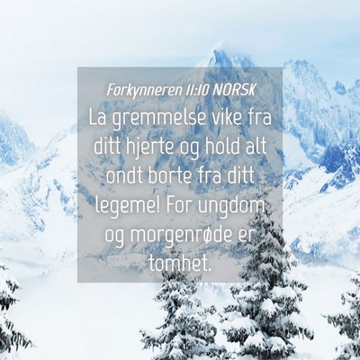 Picture 04 - Forkynneren 11:10 NORSK - La gremmelse vike fra ditt hjerte og hold alt - Bible Verse Picture