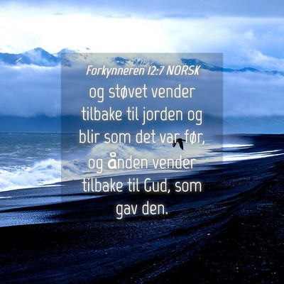 Picture 04 - Forkynneren 12:7 NORSK - og støvet vender tilbake til jorden og blir som - Bible Verse Picture