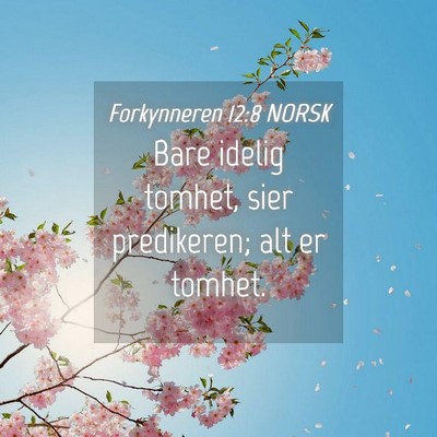 Picture 04 - Forkynneren 12:8 NORSK - Bare idelig tomhet, sier predikeren; alt er - Bible Verse Picture