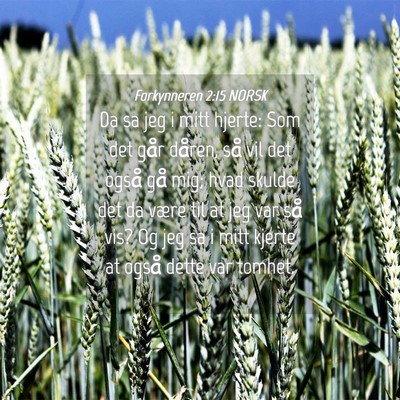 Picture 04 - Forkynneren 2:15 NORSK - Da sa jeg i mitt hjerte: Som det går dåren, så - Bible Verse Picture