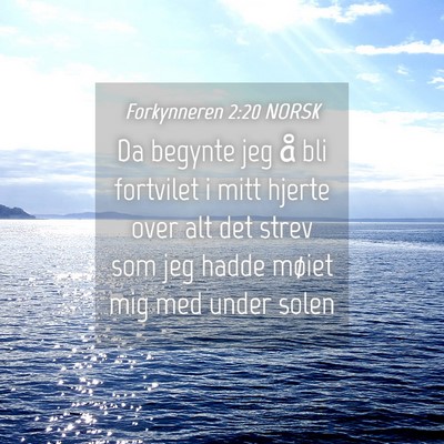 Picture 04 - Forkynneren 2:20 NORSK - Da begynte jeg å bli fortvilet i mitt hjerte - Bible Verse Picture