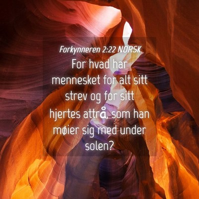 Picture 04 - Forkynneren 2:22 NORSK - For hvad har mennesket for alt sitt strev og for - Bible Verse Picture