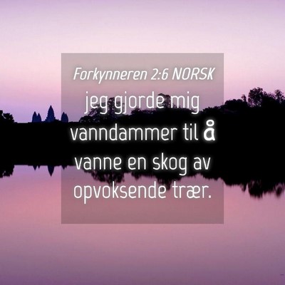 Picture 04 - Forkynneren 2:6 NORSK - jeg gjorde mig vanndammer til å vanne en skog av - Bible Verse Picture