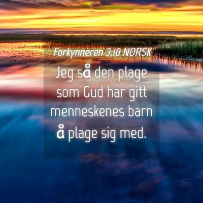 Picture 04 - Forkynneren 3:10 NORSK - Jeg så den plage som Gud har gitt menneskenes - Bible Verse Picture