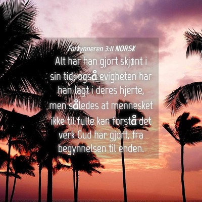 Picture 04 - Forkynneren 3:11 NORSK - Alt har han gjort skjønt i sin tid; også - Bible Verse Picture
