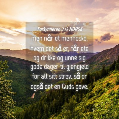 Picture 04 - Forkynneren 3:13 NORSK - men når et menneske, hvem det så er, får ete - Bible Verse Picture