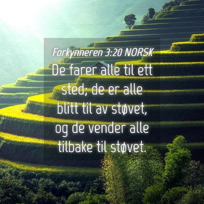 Picture 04 - Forkynneren 3:20 NORSK - De farer alle til ett sted; de er alle blitt til - Bible Verse Picture