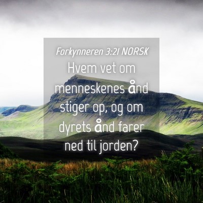 Picture 04 - Forkynneren 3:21 NORSK - Hvem vet om menneskenes ånd stiger op, og om - Bible Verse Picture