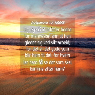 Picture 04 - Forkynneren 3:22 NORSK - Og jeg så at intet er bedre for mennesket enn at - Bible Verse Picture